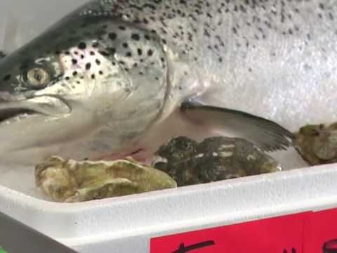 Salmon fishing season returns to Central Coast for first time in 4 years
