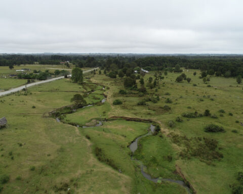 New study challenges a site that's key to how humans got to the Americas