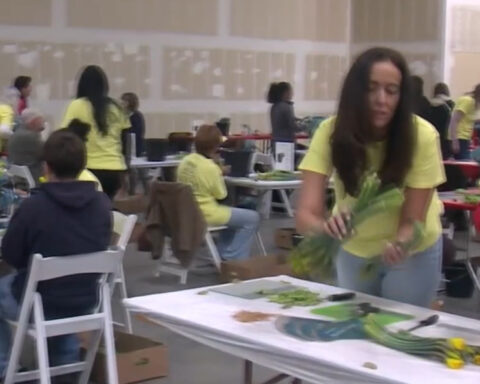 Volunteers help prepare for annual Presbyterian Hospital 'Daffodil Days' fundraiser