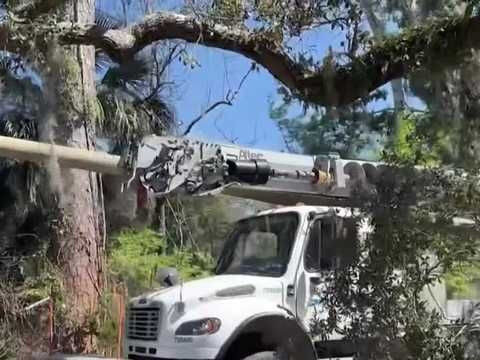 'It was a cry for help': Dangerous power pole puts Port Orange family at risk