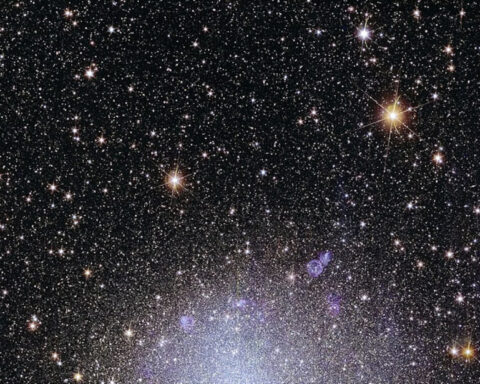 ‘Project Hail Mary’ explores unique forms of life in space – 5 essential reads on searching for aliens that look nothing like life on Earth