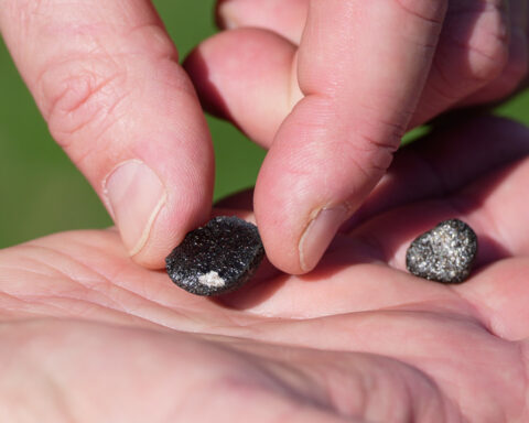 Meteorite hunters scour Ohio for fragments of 7-ton space rock that crashed into Earth
