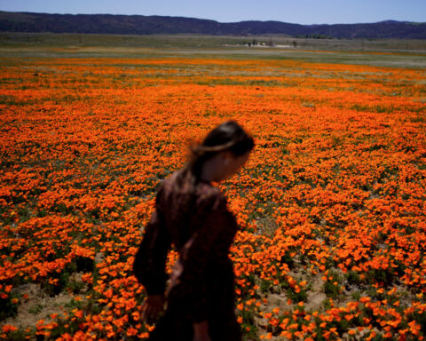 Welcome to allergy season. Here's how to protect yourself