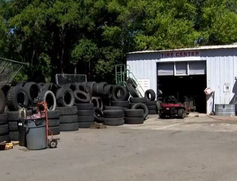 Woman on life support after colleagues say she tried to stop customer from stealing tires