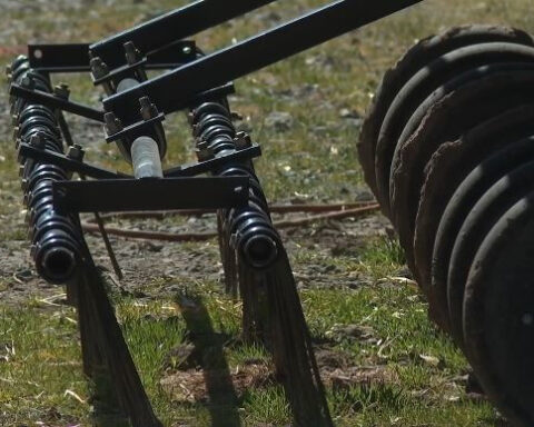 Farm turns to old-school conservation, new crop to weather drought concerns