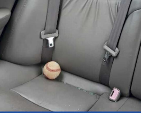 Neighbors frustrated by damage from baseballs after fields added to park