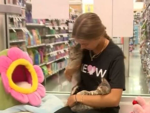 Teen makes a difference for rescue kittens and kids facing stress