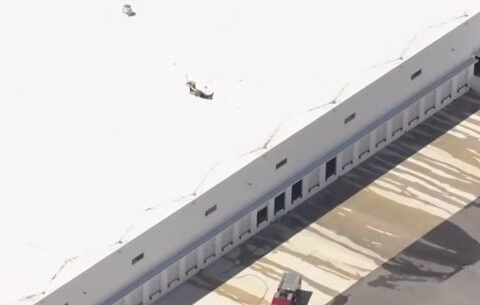 'No survivors' after helicopter crashes into warehouse