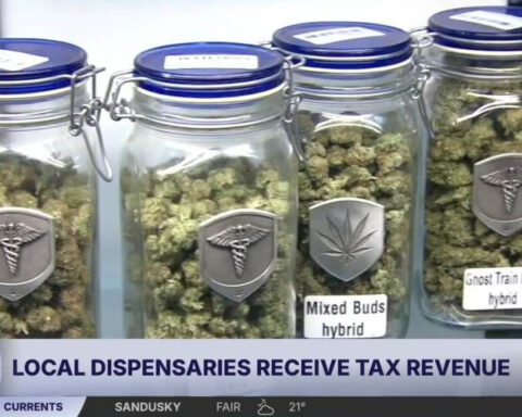 How much are Lorain County communities getting from recreational cannabis tax revenue?
