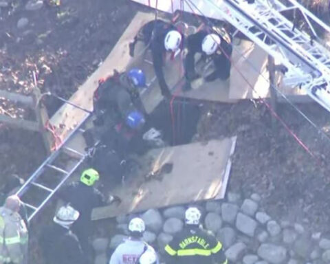 Dog rescued from 12-foot deep sinkhole in backyard