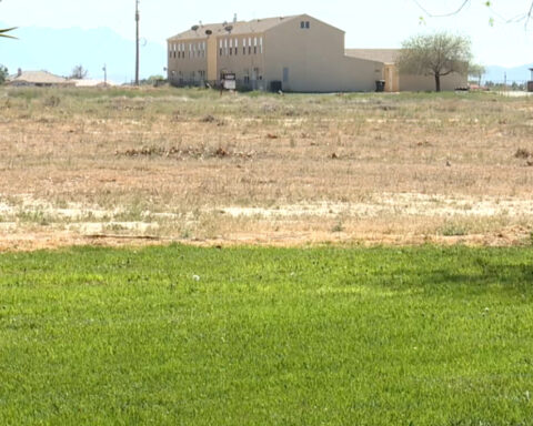 'Zombie Lots' are leaving residents in crisis