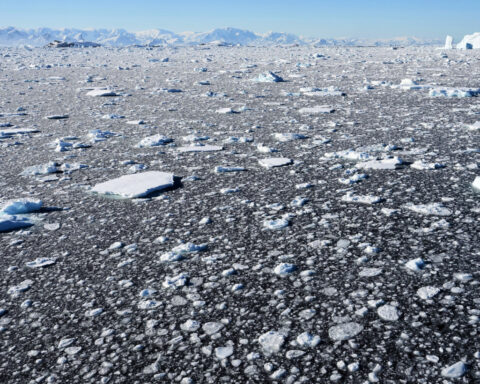 Arctic sea ice hits lowest winter level as unprecedented heat hits smashes records all over Earth