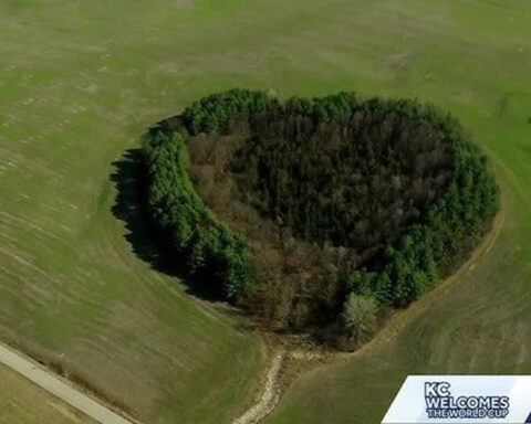 Kansas City 'Heart Forest' near KCI could open to public ahead of 2026 World Cup