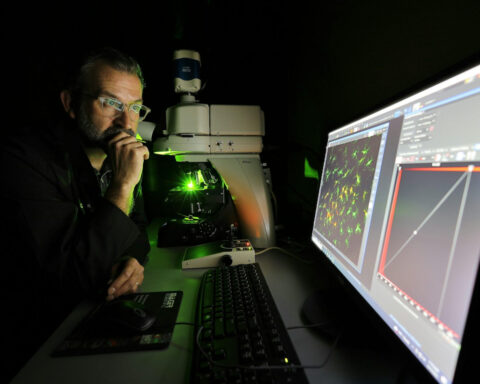 Panicking scientists, canceled experiments – federal funding cuts turned my work as a research dean into crisis management