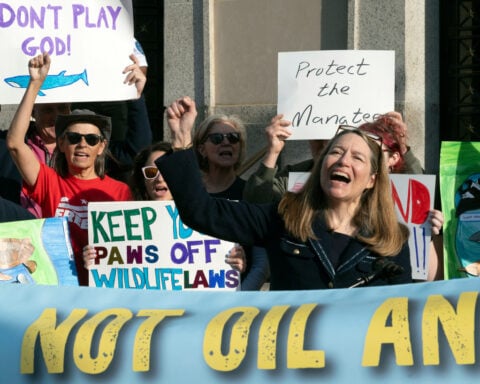 Trump officials exempt oil and gas drilling in the Gulf from endangered species rules