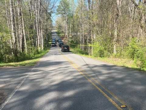 Children find skeletal remains in South Carolina while playing near a creek, investigators say