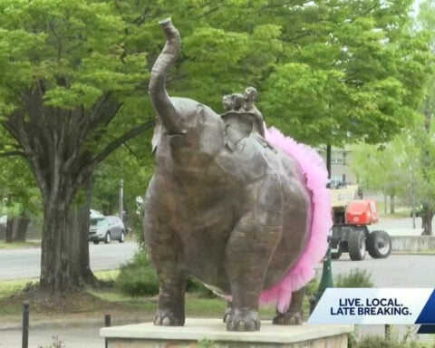 Pink tutus popping up in parks across Birmingham surprise and delight residents