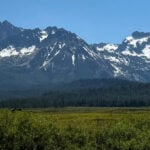 Trump plans to move Forest Service headquarters to Utah and shutter research sites