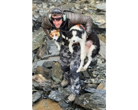 Hiker's dog lost in a wild New Zealand forest rescued by helicopter after strangers fund search