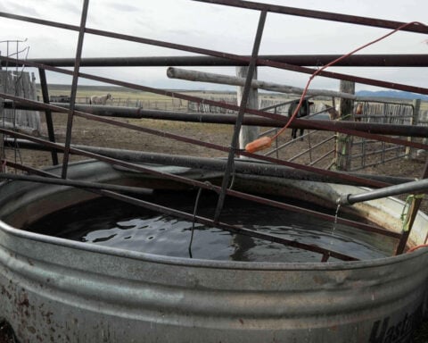 Record low Colorado mountain snow won't bode well for water in the drought-stricken US West