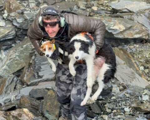 Lost dog reunited with owner one week after she fell down a waterfall