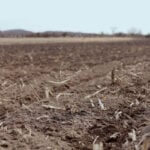 Warming winters lead to more nitrate pollution in the drinking water near farms