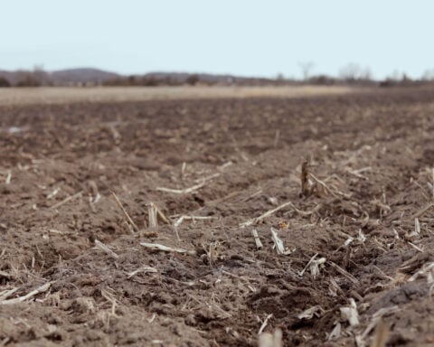 Warming winters lead to more nitrate pollution in the drinking water near farms