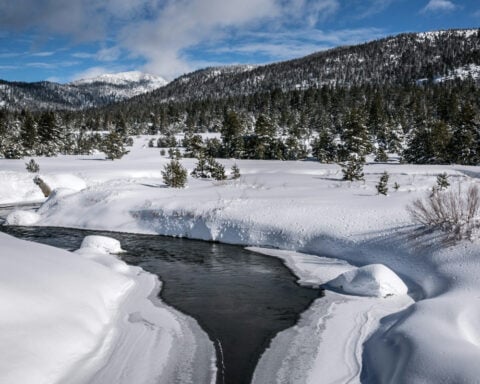 Winter’s alarmingly low snowpack offers a glimpse of the changing rhythm of water in the western US