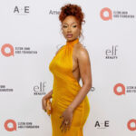 Megan Thee Stallion hospitalized after exiting ‘Moulin Rouge! The Musical’ mid-show