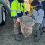 More than 3,000 adult trout stocked in Huron River & Spring Mill Pond in Southeast Michigan