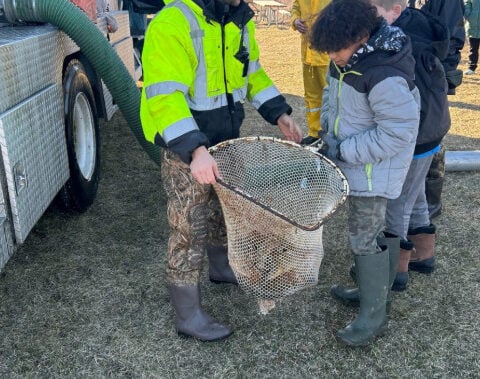 More than 3,000 adult trout stocked in Huron River & Spring Mill Pond in Southeast Michigan