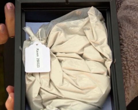 Business owner sentenced after returning false ashes to grieving pet owners