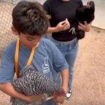 Educators at one school are taking classwork to the barnyard