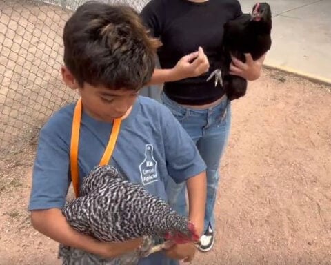 Educators at one school are taking classwork to the barnyard