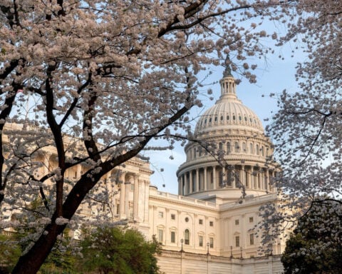 GOP leaders declare path to end DHS shutdown — but enormous hurdles remain