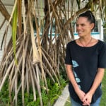 How a seabird native to Hawaii has adapted to life in Honolulu's concrete jungle