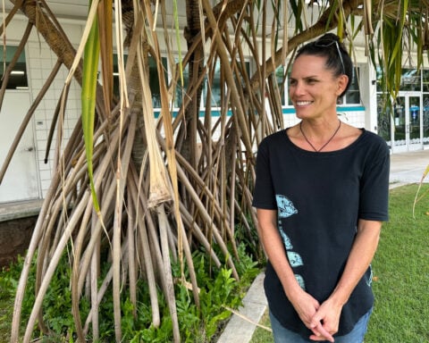 How a seabird native to Hawaii has adapted to life in Honolulu's concrete jungle