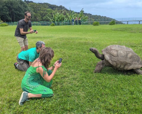 World's oldest known tortoise still very much alive despite rumor to the contrary
