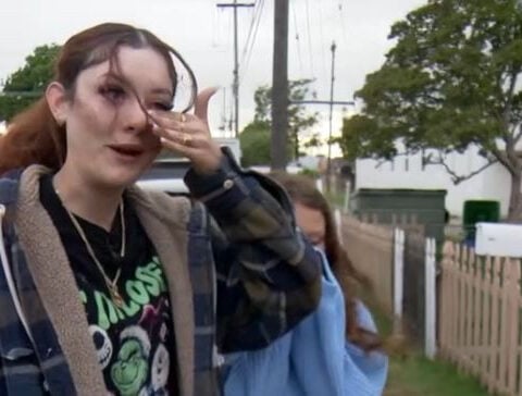 Family pleads for return of French bulldog after it was taken from outside their home