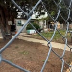 Woman in critical condition after she is attacked by multiple dogs