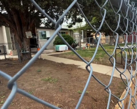 Woman in critical condition after she is attacked by multiple dogs