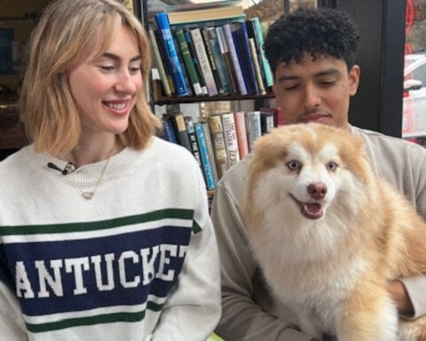 Zeus on the loose: Couple reunited with lost dog after 7 months