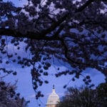 CNN poll shows Democrats hold early advantage in midterms