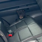 New Jersey state troopers rescue bear cub from highway ditch