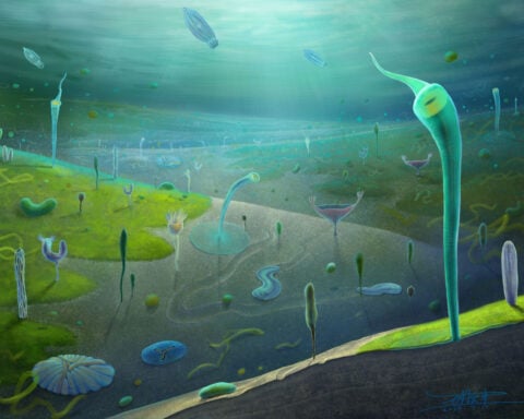 Fossils from China show complex life evolved millions of years earlier than once thought