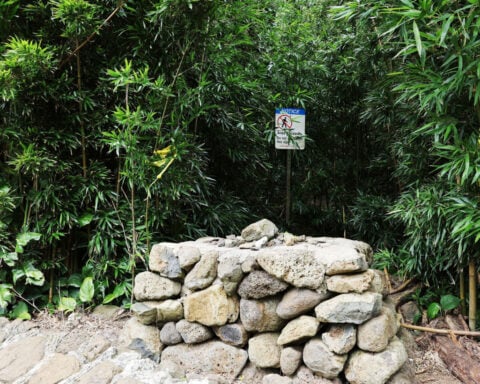 Hawaii doctor’s testimony in his attempted murder trial makes this a case of ‘she said, he said’