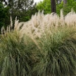 MASTERS '26: Augusta's 'beautiful little hole' at No. 7 has turned much nastier