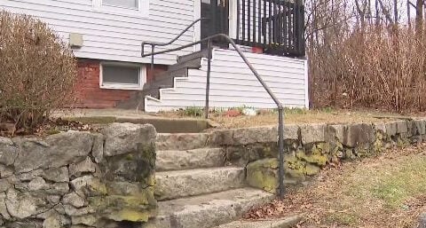 Video shows fox attacking woman