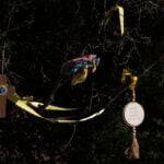 Savannah Guthrie set for ‘Today’ show return, as the search for her mom continues