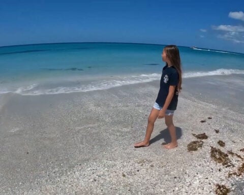 Shark attack survivor returns to beach as recovery continues